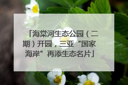 海棠河生态公园（二期）开园，三亚“国家海岸”再添生态名片