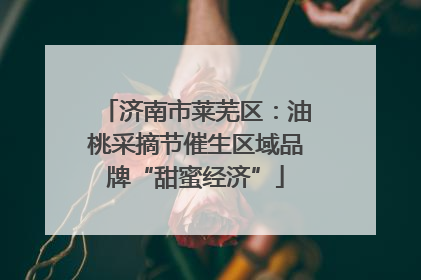 济南市莱芜区：油桃采摘节催生区域品牌“甜蜜经济”