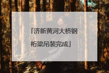 济新黄河大桥钢桁梁吊装完成