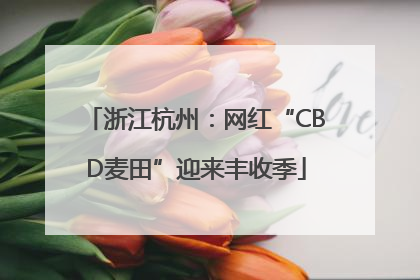 浙江杭州：网红“CBD麦田”迎来丰收季