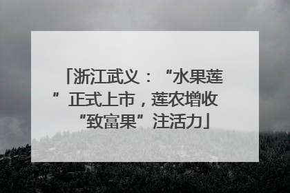 浙江武义：“水果莲”正式上市，莲农增收“致富果”注活力