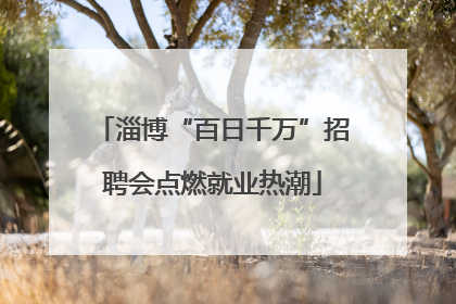淄博“百日千万”招聘会点燃就业热潮