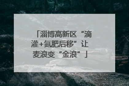 淄博高新区“滴灌+氮肥后移”让麦浪变“金浪”
