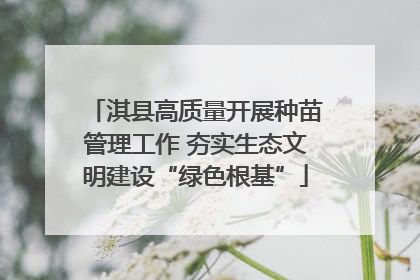 淇县高质量开展种苗管理工作 夯实生态文明建设“绿色根基”
