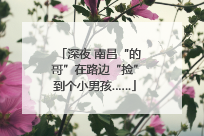 深夜 南昌“的哥”在路边“捡”到个小男孩……