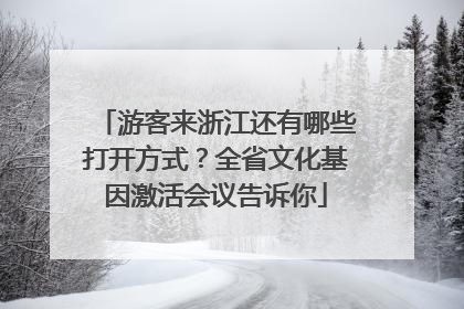 游客来浙江还有哪些打开方式？全省文化基因激活会议告诉你