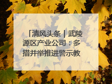 清风头条｜武陵源区产业公司：多措并举推进警示教育走深走实