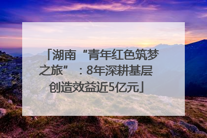 湖南“青年红色筑梦之旅”：8年深耕基层创造效益近5亿元