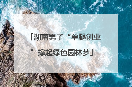 湖南男子“单腿创业”撑起绿色园林梦