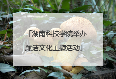 湖南科技学院举办廉洁文化主题活动