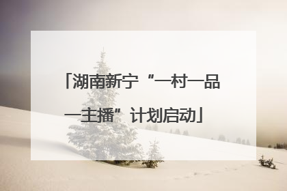 湖南新宁“一村一品一主播”计划启动