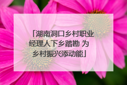 湖南洞口乡村职业经理人下乡踏勘 为乡村振兴添动能