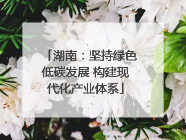 湖南：坚持绿色低碳发展 构建现代化产业体系