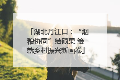 湖北丹江口：“烟粮协同”结硕果 绘就乡村振兴新画卷