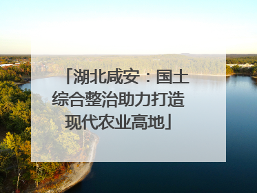 湖北咸安：国土综合整治助力打造现代农业高地