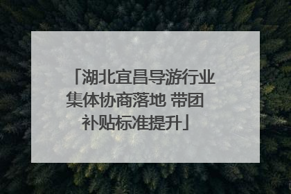湖北宜昌导游行业集体协商落地 带团补贴标准提升
