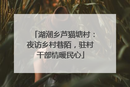 湖潮乡芦猫塘村：夜访乡村巷陌，驻村干部情暖民心