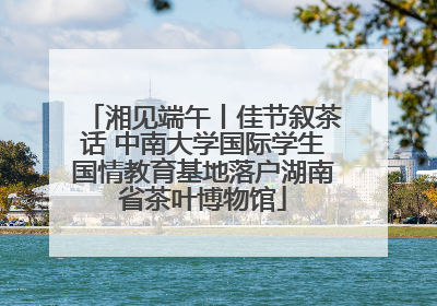 湘见端午丨佳节叙茶话 中南大学国际学生国情教育基地落户湖南省茶叶博物馆