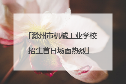 滁州市机械工业学校招生首日场面热烈