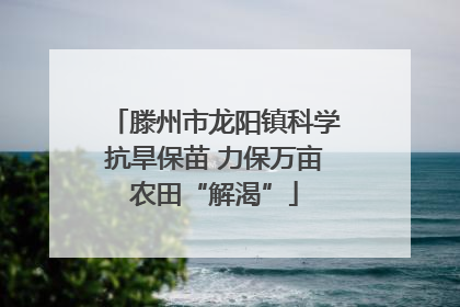 滕州市龙阳镇科学抗旱保苗 力保万亩农田“解渴”