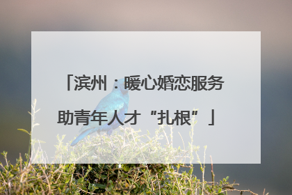 滨州：暖心婚恋服务助青年人才“扎根”