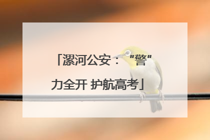 漯河公安：“警”力全开 护航高考