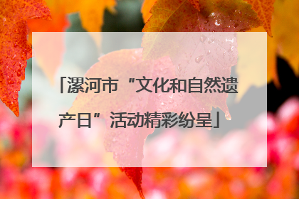 漯河市“文化和自然遗产日”活动精彩纷呈