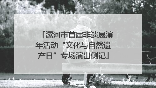 漯河市首届非遗展演年活动“文化与自然遗产日”专场演出侧记