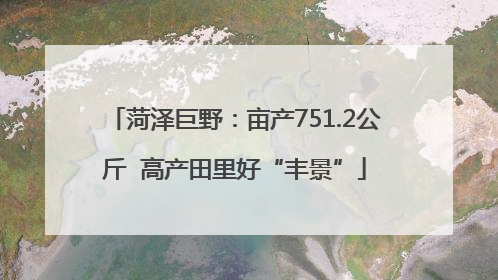 菏泽巨野：亩产751.2公斤  高产田里好“丰景”