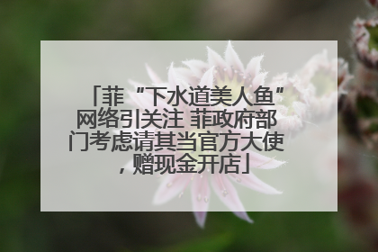 菲“下水道美人鱼”网络引关注 菲政府部门考虑请其当官方大使，赠现金开店
