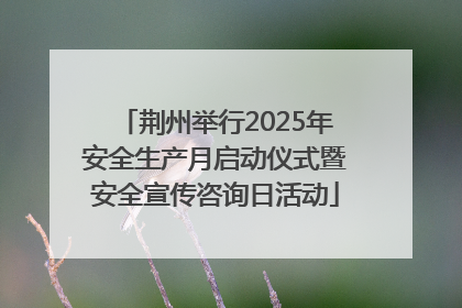 荆州举行2025年安全生产月启动仪式暨安全宣传咨询日活动