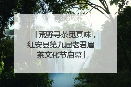 荒野寻茶觅真味，红安县第九届老君眉茶文化节启幕