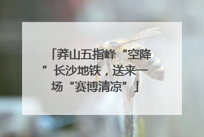 莽山五指峰“空降”长沙地铁，送来一场“赛博清凉”