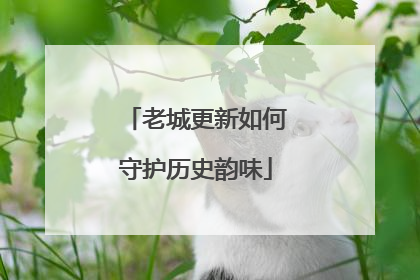 老城更新如何守护历史韵味