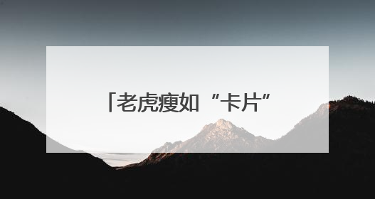 老虎瘦如“卡片”？北京动物园：饲料能保障营养需求，它体重正常，放心吧