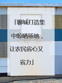 聊城打造集中晾晒场地，让农民省心又省力