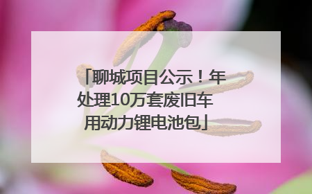 聊城项目公示！年处理10万套废旧车用动力锂电池包