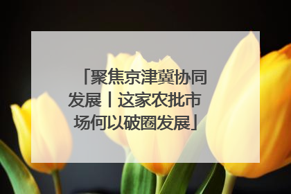 聚焦京津冀协同发展丨这家农批市场何以破圈发展