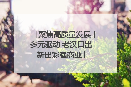 聚焦高质量发展丨多元驱动 老汉口出新出彩强商业