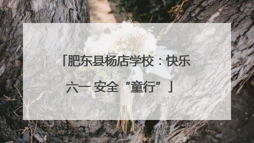 肥东县杨店学校：快乐六一 安全“童行”