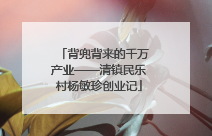 背兜背来的千万产业——清镇民乐村杨敏珍创业记