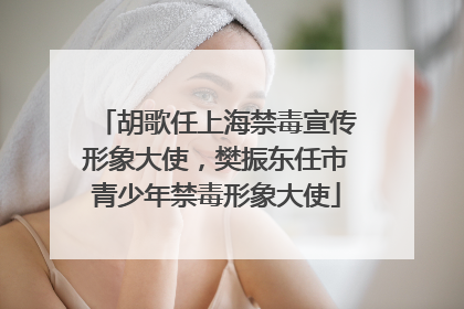 胡歌任上海禁毒宣传形象大使，樊振东任市青少年禁毒形象大使