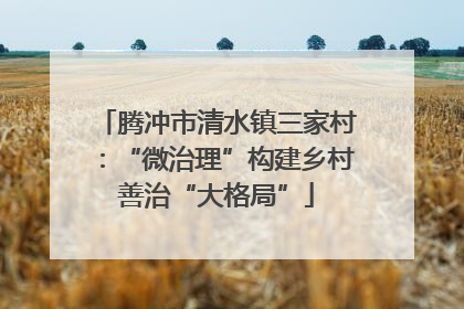腾冲市清水镇三家村：“微治理”构建乡村善治“大格局”