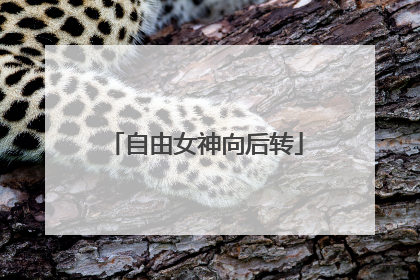 自由女神向后转