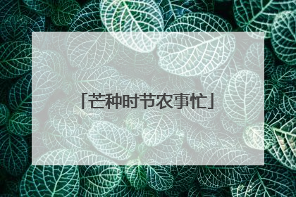 芒种时节农事忙