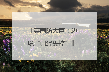 英国防大臣：边境“已经失控”