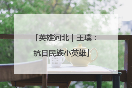 英雄河北｜王璞：抗日民族小英雄