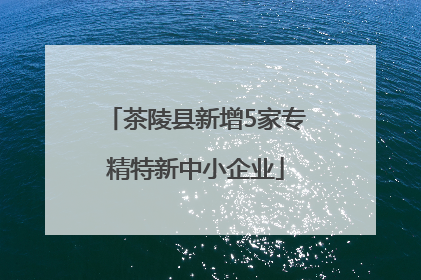茶陵县新增5家专精特新中小企业