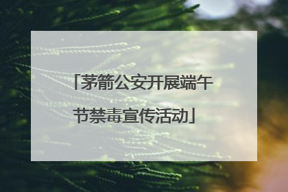 茅箭公安开展端午节禁毒宣传活动