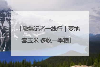 融媒记者一线行｜麦地套玉米 多收一季粮
